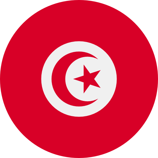 Dedicated Servers in Tunis